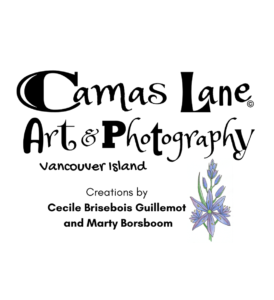 Camas Lane Art and Photography